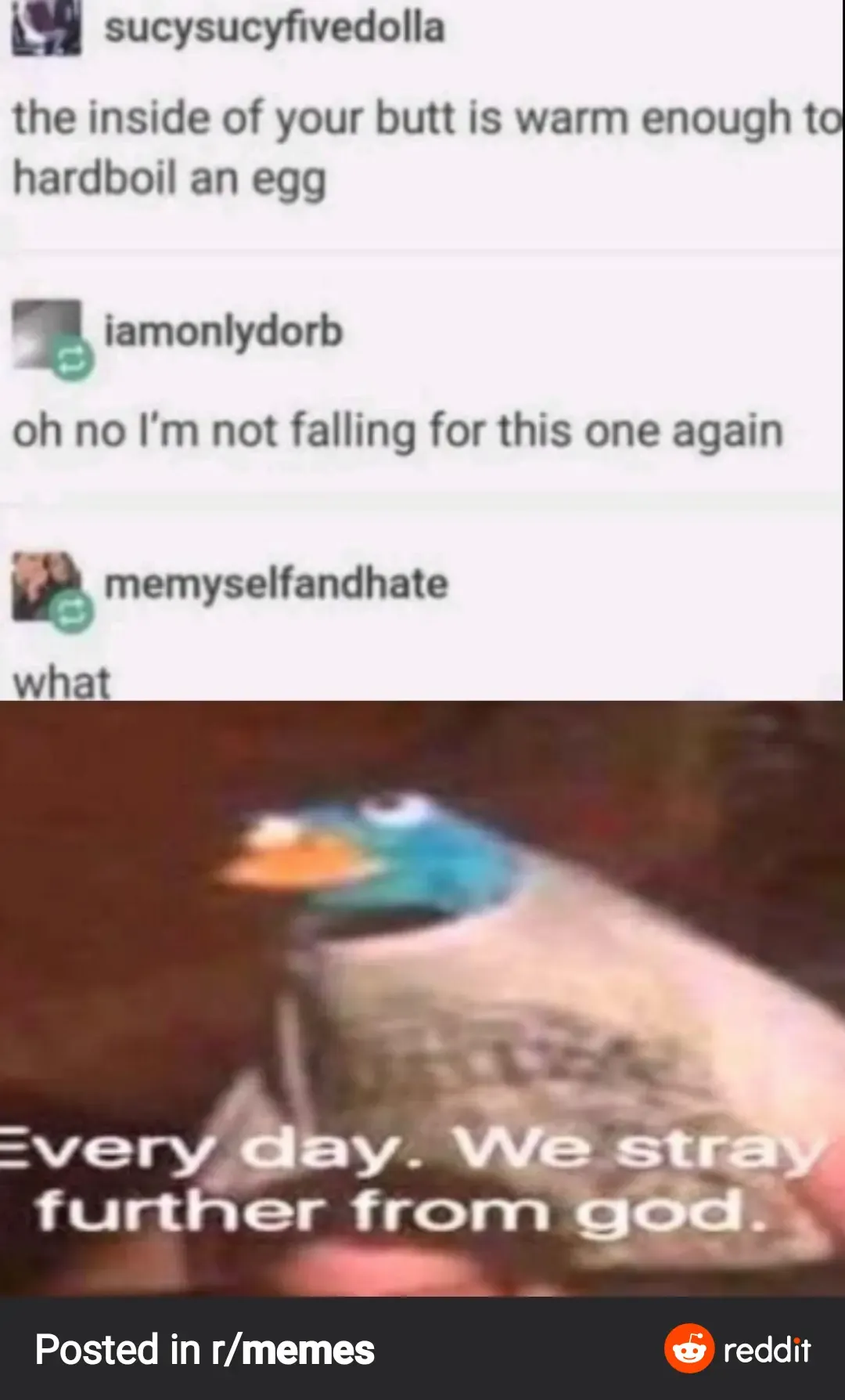 my memes Fhentai - Page 17