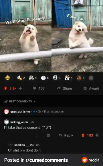 my memes Fhentai - Page 39