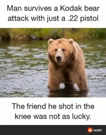 my memes Fhentai - Page 82