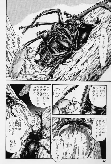 [Kondom] Fairie Fetish Fhentai - Page 28