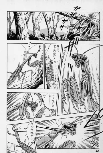 [Kondom] Fairie Fetish Fhentai - Page 41