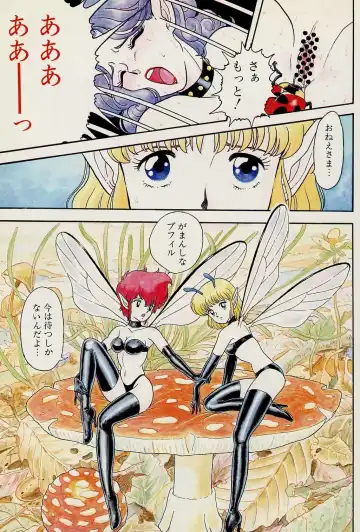 [Kondom] Fairie Fetish Fhentai - Page 9