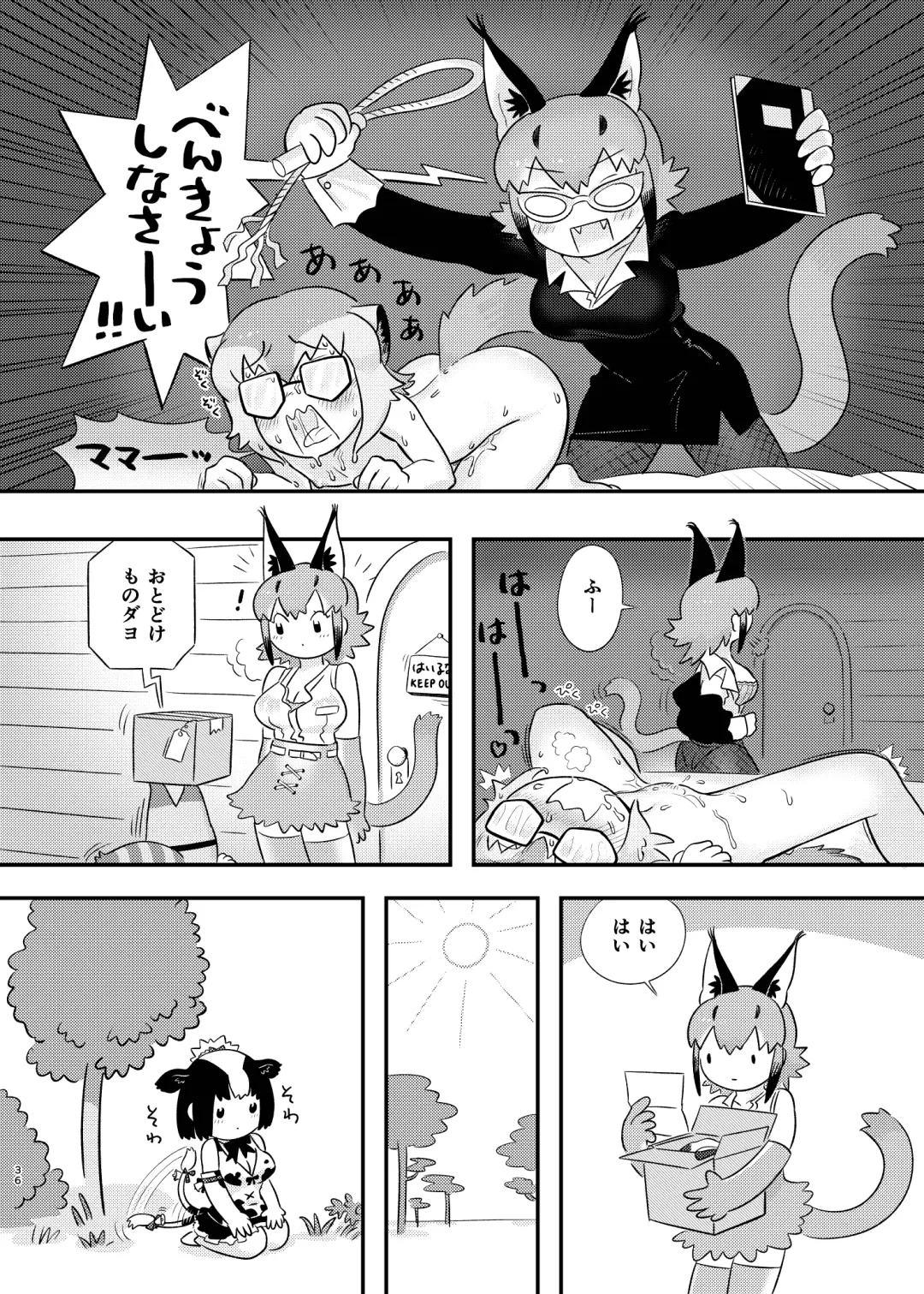 [Dull - Milli] Naniyo~! Caracal Mama Goudou Fhentai - Page 36