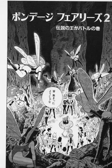 [Kondom] Bondage Fairies Vol. 2 Fhentai - Page 45