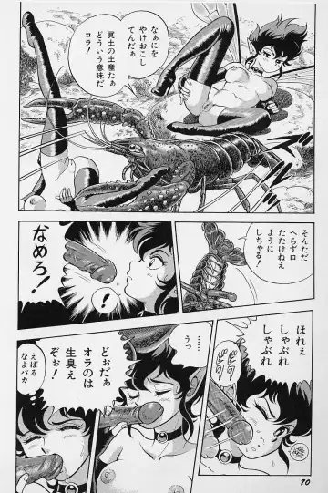 [Kondom] Bondage Fairies Vol. 2 Fhentai - Page 73