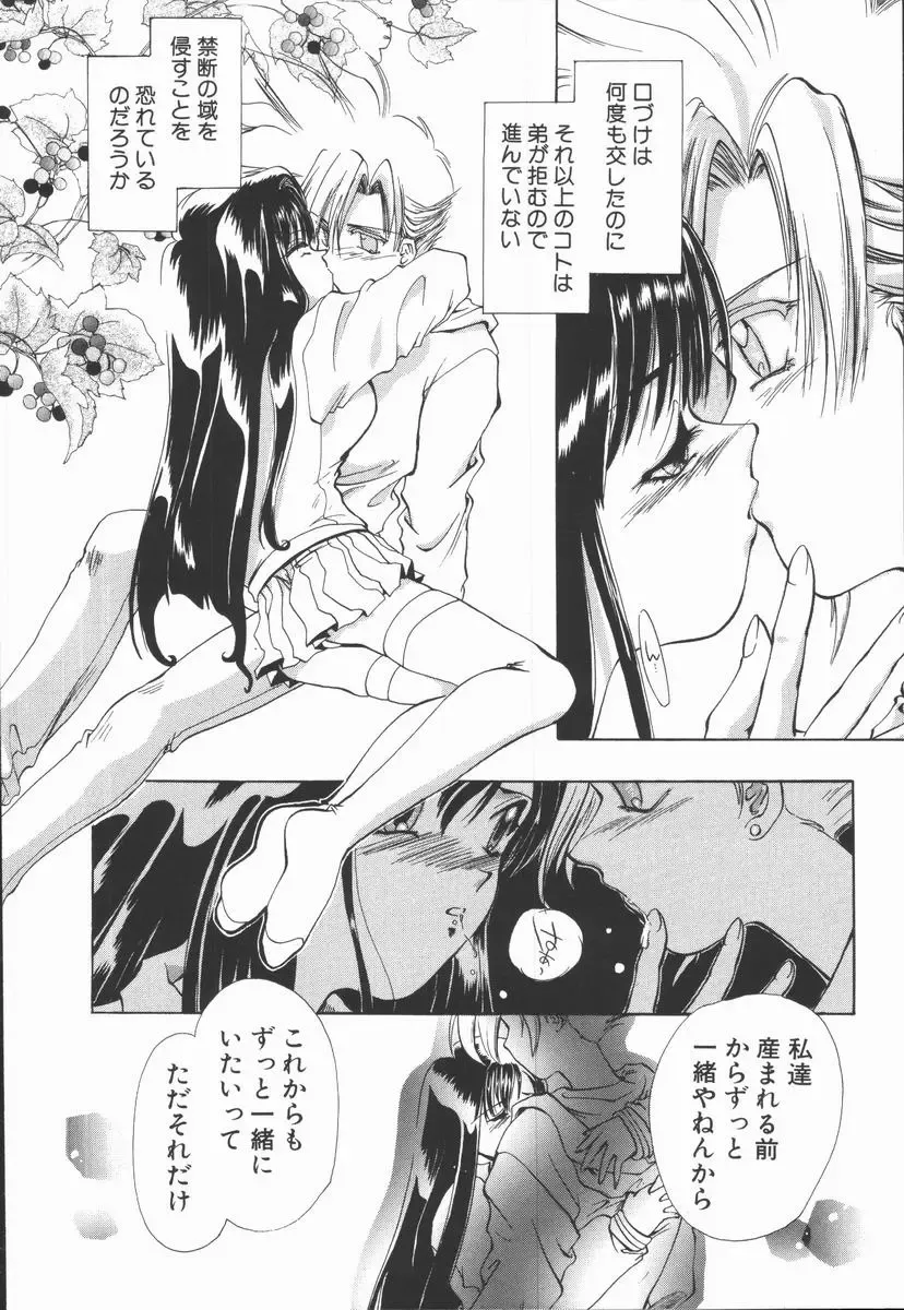 [U-k] Shinsei no Ikenie Fhentai - Page 54