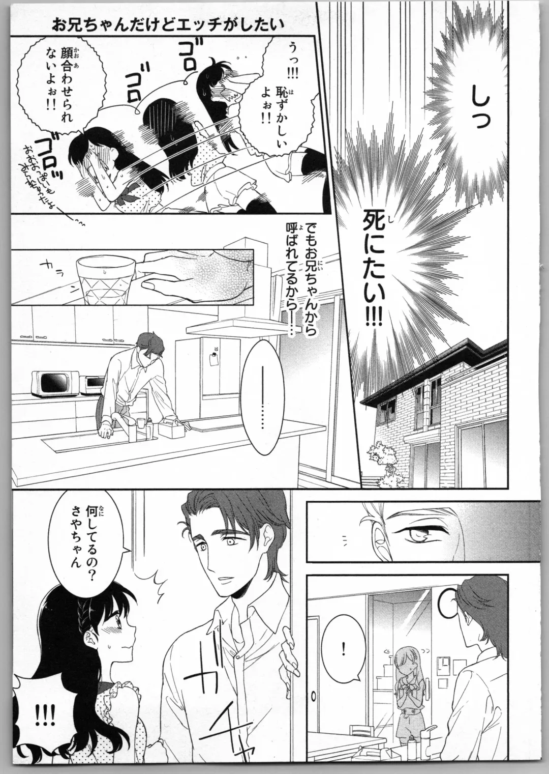 [Carmilla] Onii-chan dakedo Ecchi ga Shitai Fhentai - Page 37