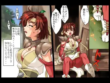 Musou OKUSAMA Fhentai.net - Page 4