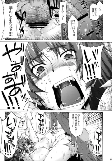 [Seura Isago] Risty-Rin ~Kanzenban~ Fhentai - Page 34