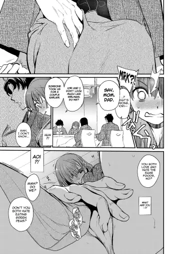 [Heizo - Kitoen] InCha Otouto ga YouCha Aneki o Netoru made 3 Fhentai - Page 18