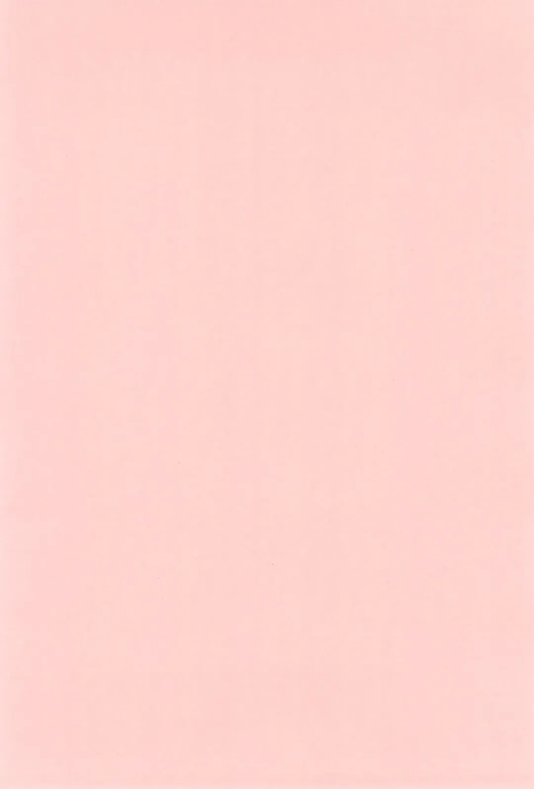 [Shimiko] High Risk x Lolita Fhentai - Page 4