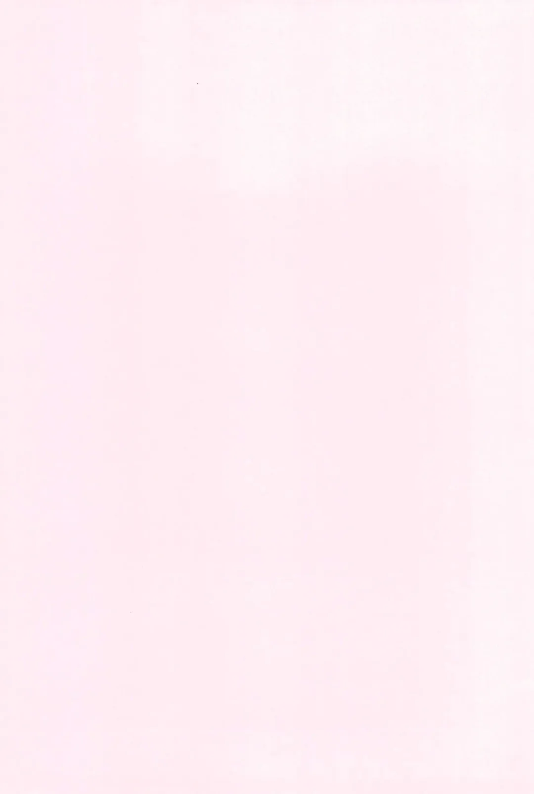 [Shimiko] Koufuku no Hanayome Koufuku no Hanamuko Fhentai - Page 29