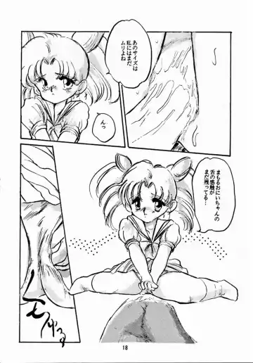 [Shirasaka Biyu] Hakubo Fhentai - Page 17