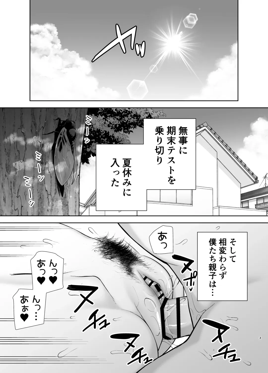 [Siberian Hahasky] Boku no Kaa-san de, Boku no Suki na Hito.3 Fhentai.net - Page 2