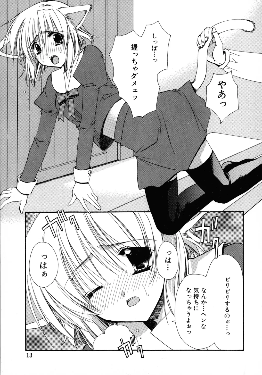 [Ryuga Syo] Nureta Tsubasa Fhentai - Page 13