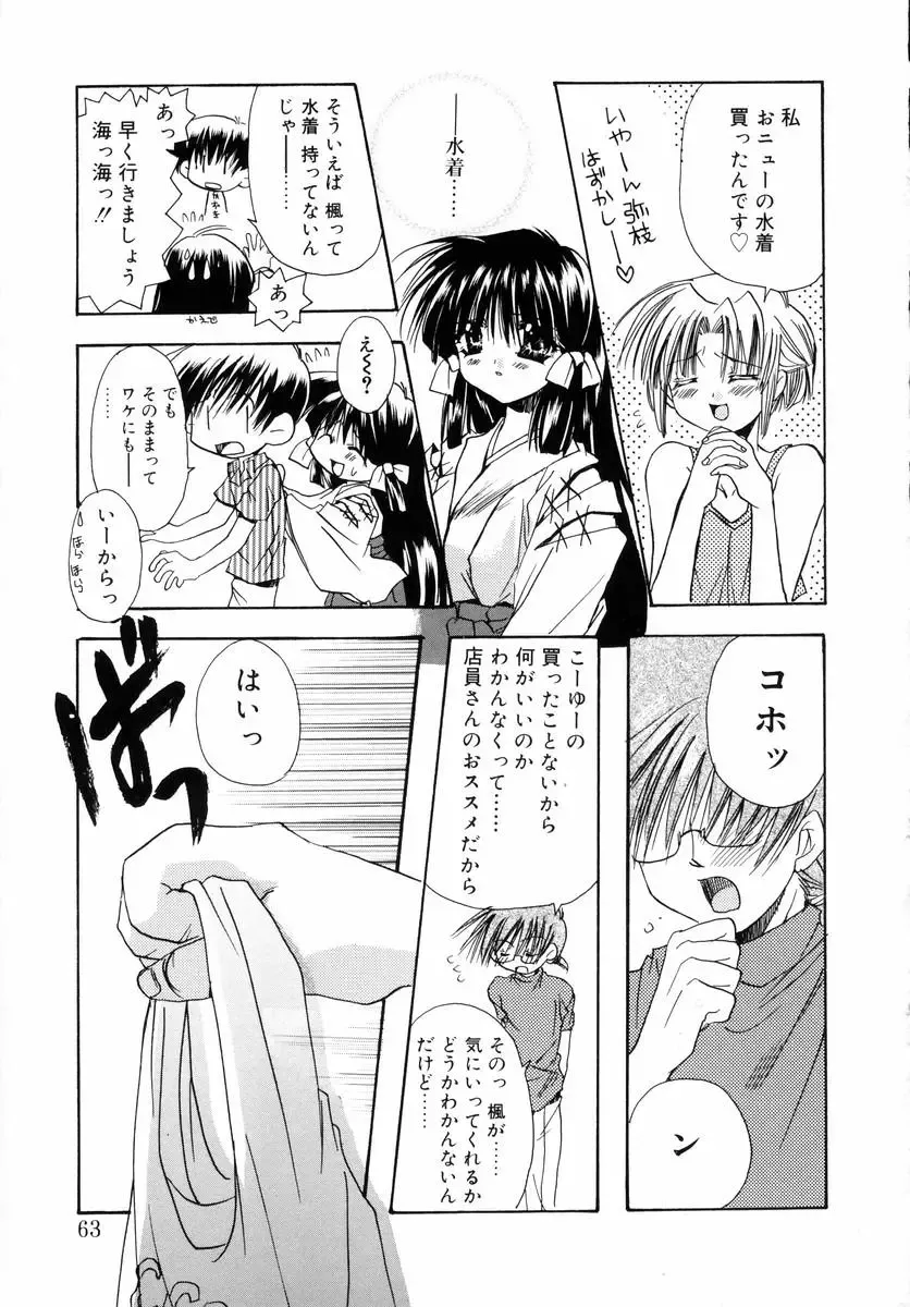 [Ryuga Syo] Dynamite Miko Fhentai - Page 65