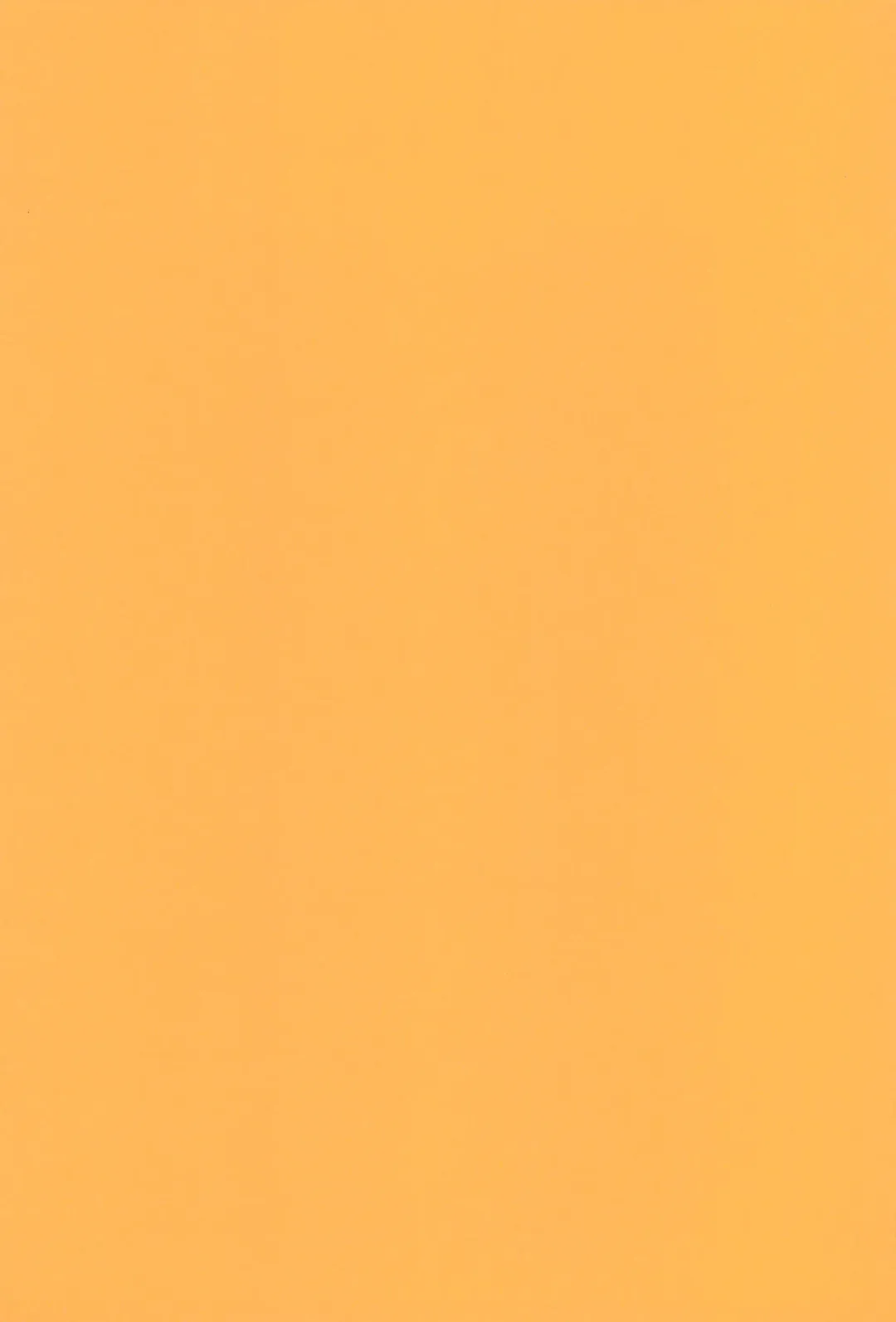 [Tori] Souta-nyan ni naru nyaa Fhentai - Page 3