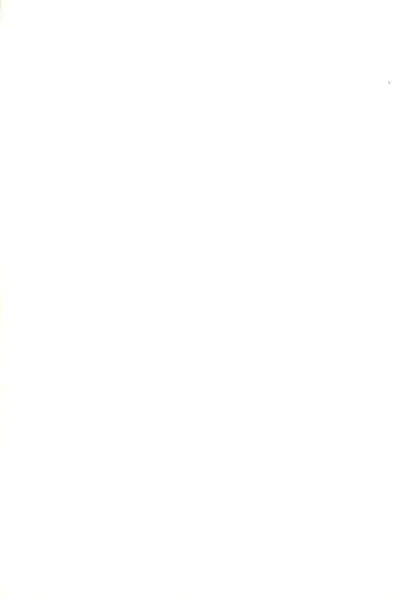 [Marcy Dog] God Hand Densetsu Fhentai - Page 107