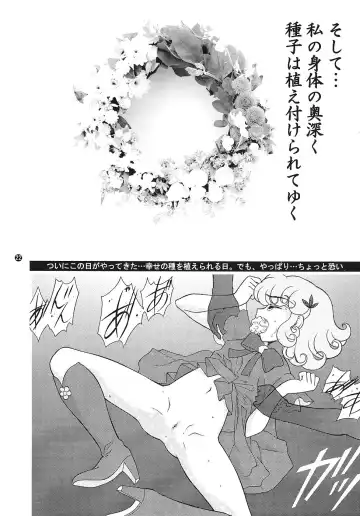 [Wing Bird] CHARA EMU CHARACTER EMULATION Series 1 MAGICALGIRLS Fhentai.net - Page 21