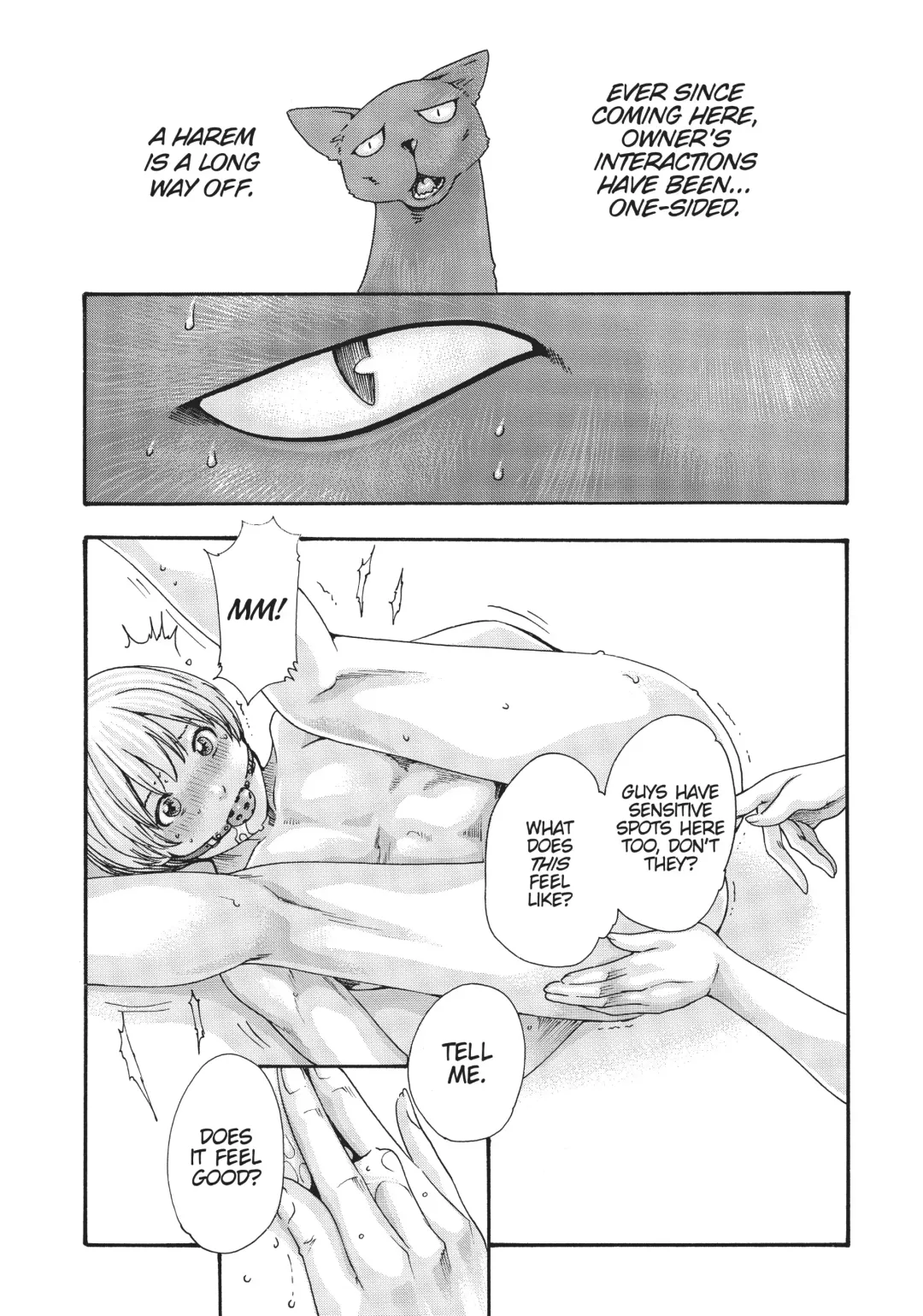 [Haruki] Cat in Hot Girl's dorm volume 2 Fhentai - Page 22