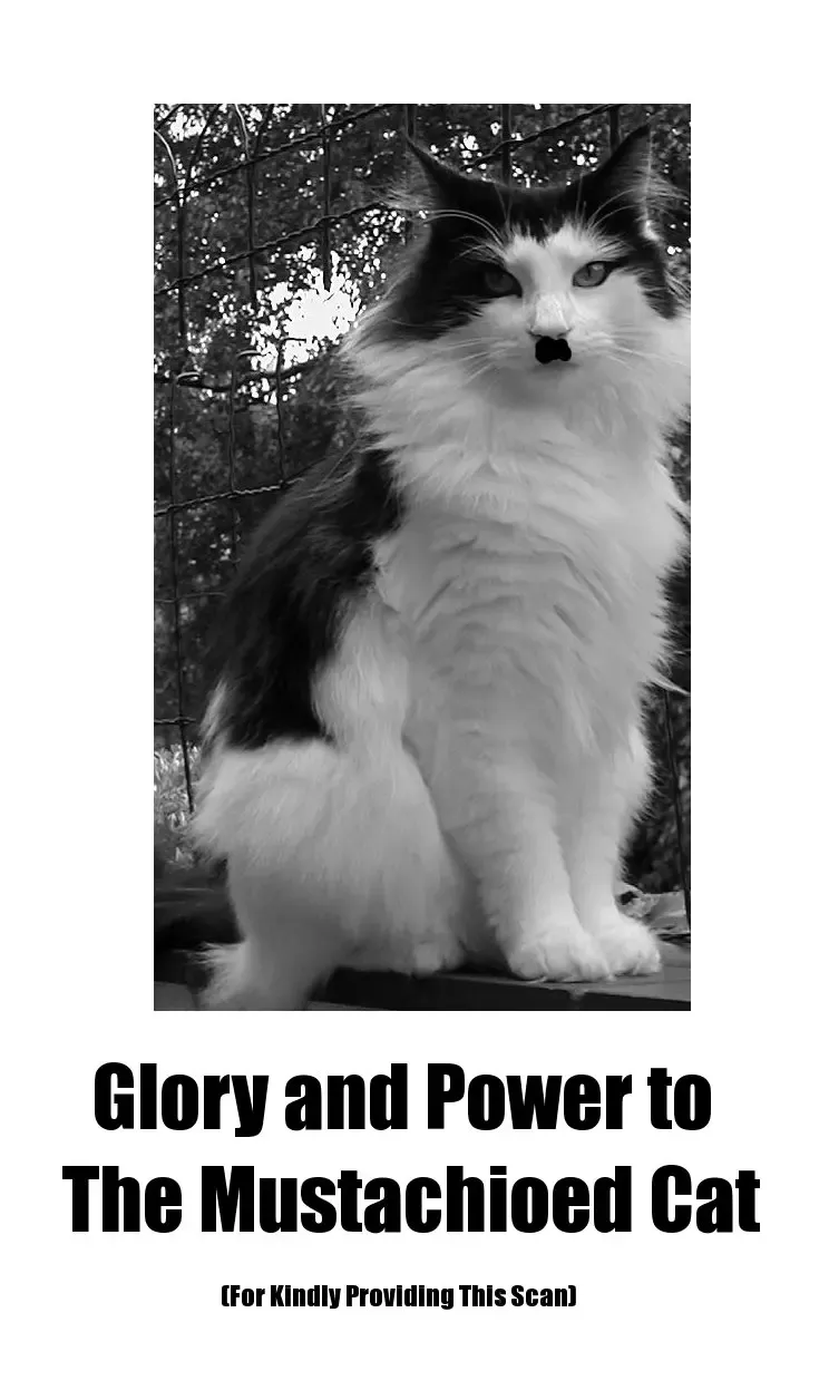 [Sakai Hamachi] EDEN -Rei8- Fhentai - Page 33