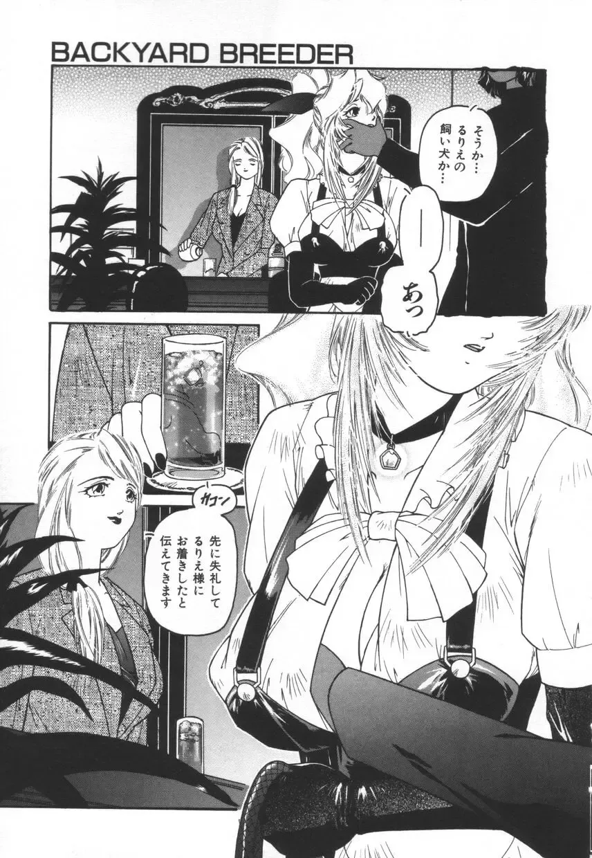 [Protonsaurus] Backyard Breeder Fhentai - Page 157