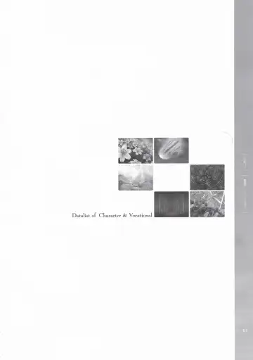 [Hatozuki Tsumiki] Battle Goddess 2 ~Requiem to Forgotten Memories~ Fanbook Fhentai - Page 82