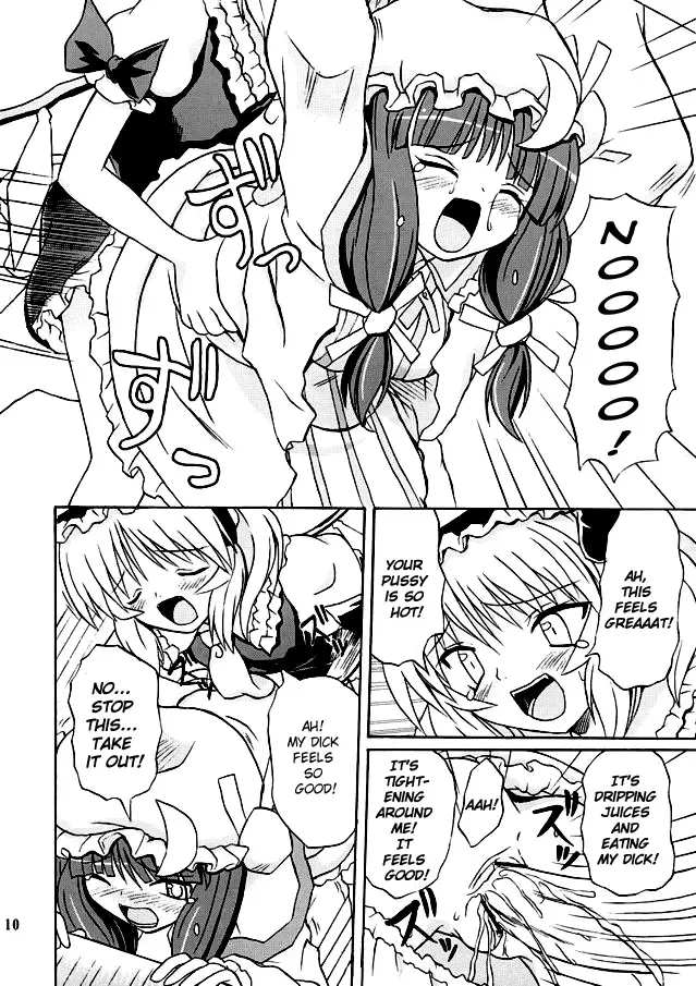 [Takaku Toshihiko] Touhou Youjo Ranbu 2 | Touhou Enchantresses' Dance 2 Fhentai - Page 9