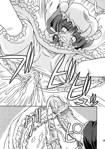 [Takaku Toshihiko] Touhou Youjo Ranbu 2 | Touhou Enchantresses' Dance 2 Fhentai - Page 12
