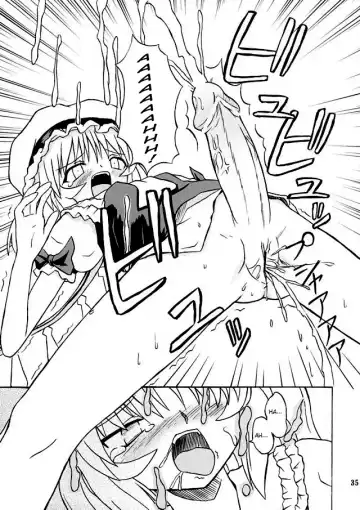 [Takaku Toshihiko] Touhou Youjo Ranbu 2 | Touhou Enchantresses' Dance 2 Fhentai - Page 34
