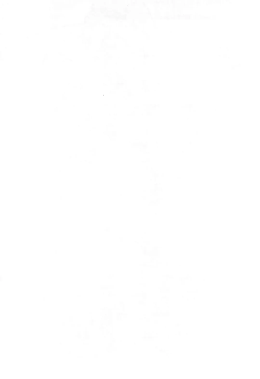 [Wasizuu] Puchi Puchi Mouse Fhentai - Page 2