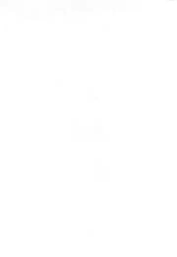 [Wasizuu] Sokuyhenkyaku Sokuchuunyuu Fhentai - Page 2