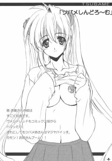 [Minakami Hiroki] EXtra stage EXTEND 01 Fhentai - Page 3