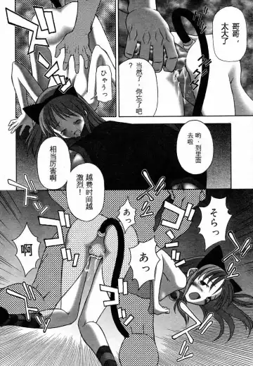 [Kinjou Satsuki] 仔猫遊戯 Fhentai - Page 12