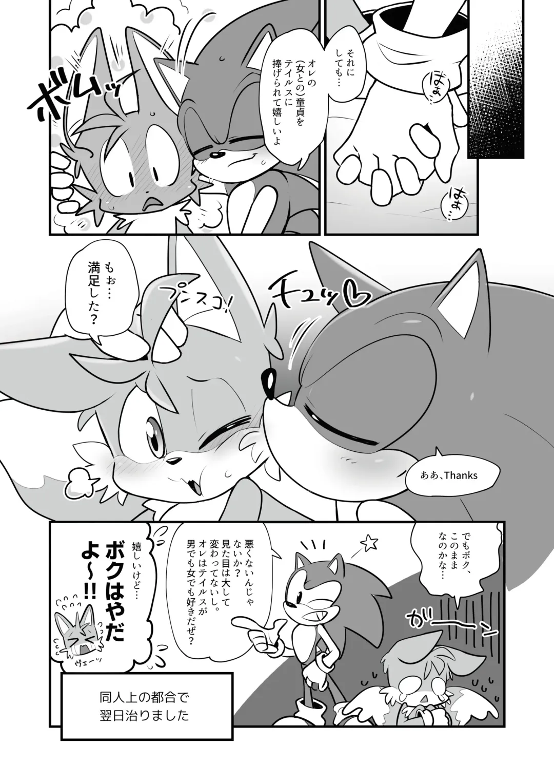 [Hentaib] Tails and Sonic's special Fuss Fhentai - Page 15