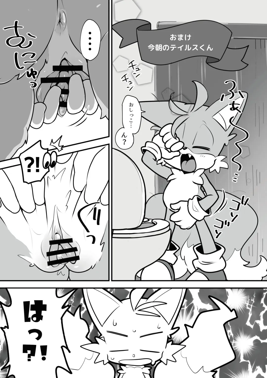 [Hentaib] Tails and Sonic's special Fuss Fhentai - Page 16