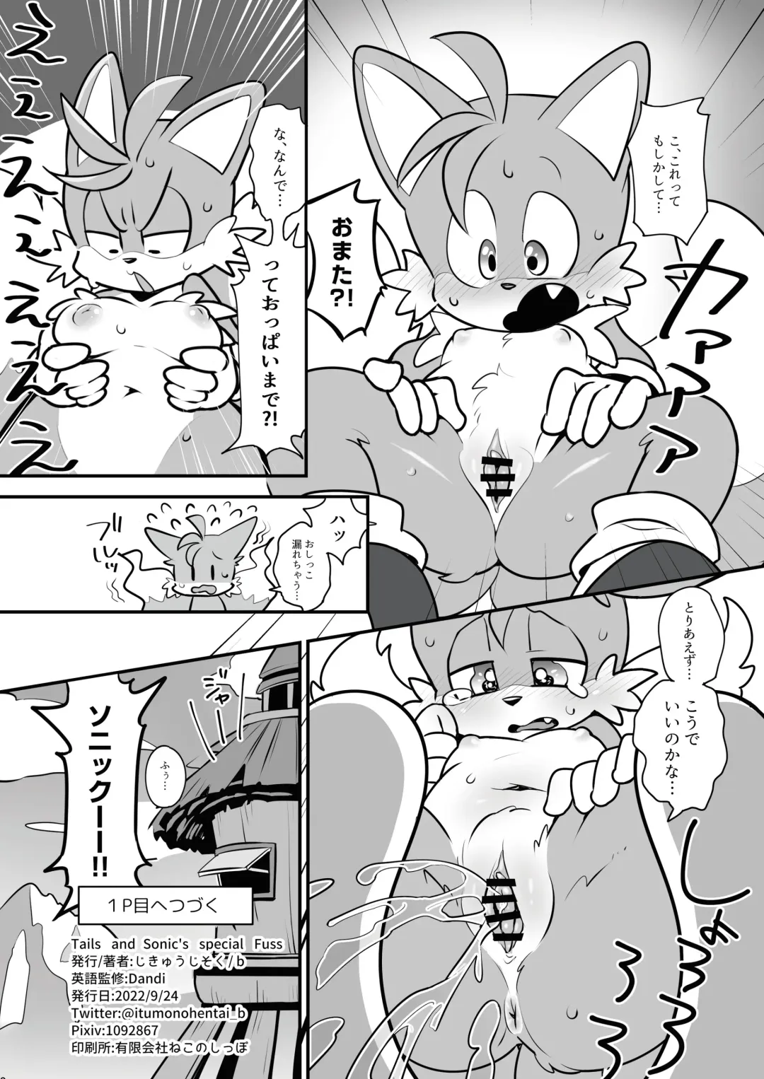 [Hentaib] Tails and Sonic's special Fuss Fhentai - Page 17