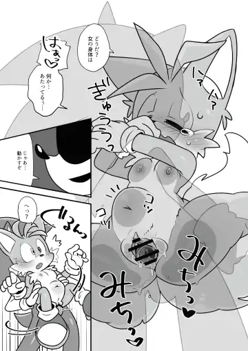 [Hentaib] Tails and Sonic's special Fuss Fhentai - Page 10