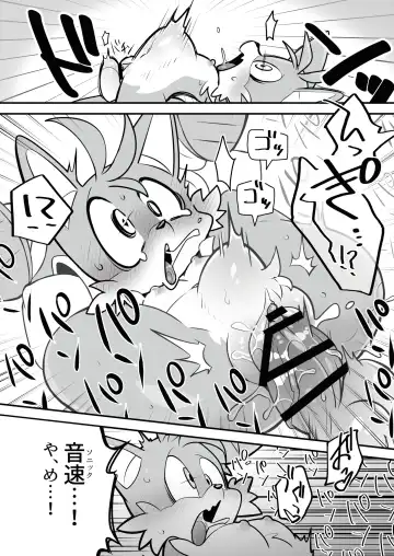 [Hentaib] Tails and Sonic's special Fuss Fhentai - Page 11