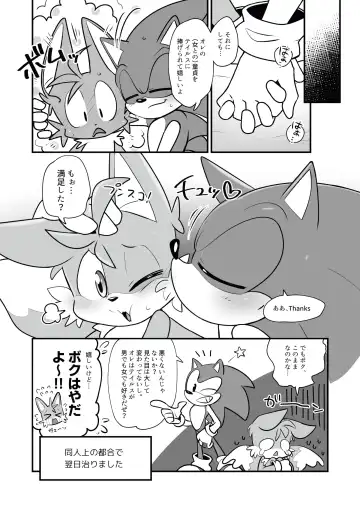 [Hentaib] Tails and Sonic's special Fuss Fhentai - Page 15