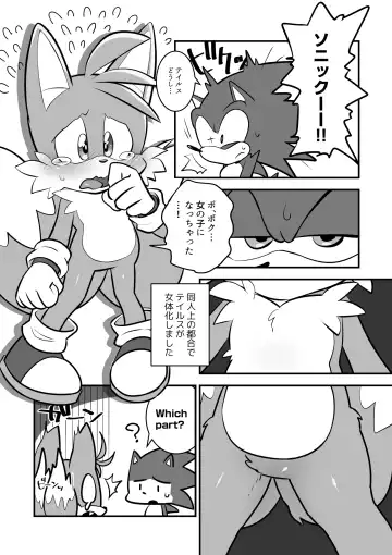 [Hentaib] Tails and Sonic's special Fuss Fhentai - Page 2