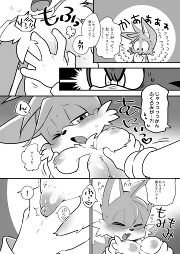 [Hentaib] Tails and Sonic's special Fuss Fhentai - Page 3