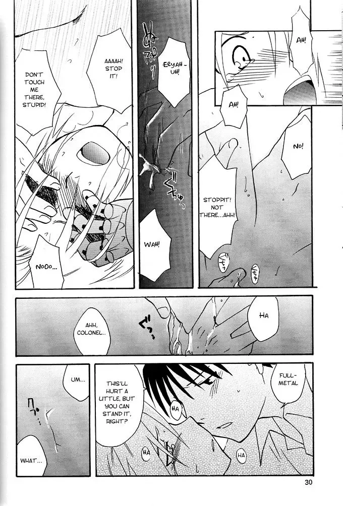 [Convoy Chouchou - Konboi Chouchou] Koi o Suru Fhentai - Page 29