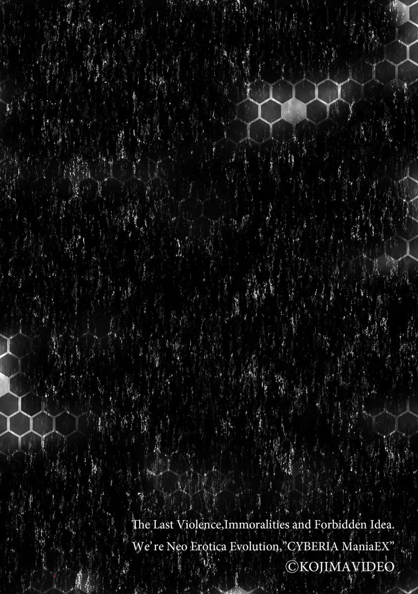 [Kojima Video] Oniku Elf Goblin Doubatsu Fhentai - Page 2