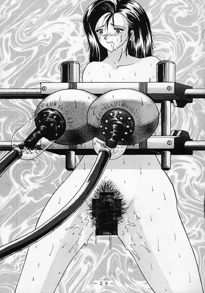 Kikai Inkei Kannou Gashuu Fhentai - Page 24