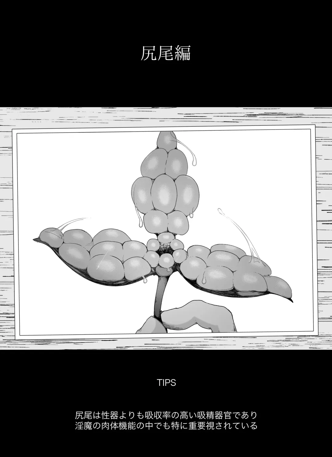 [Ikinuki.] "Shippo Hen" Madougu-ya no Kyokubu Seme Choukyou Nisshi Fhentai - Page 22