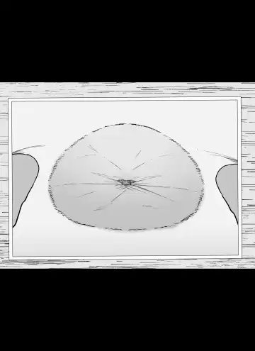 [Ikinuki.] "Anal Hen 1" Madougu-ya no Kyokubu Seme Choukyou Nisshi Fhentai - Page 12