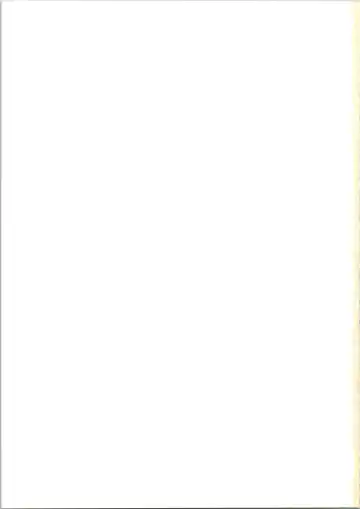 [Inu - Taishinkokuoh Anton - Yamashita Woory] Fun House 3 Fhentai - Page 83