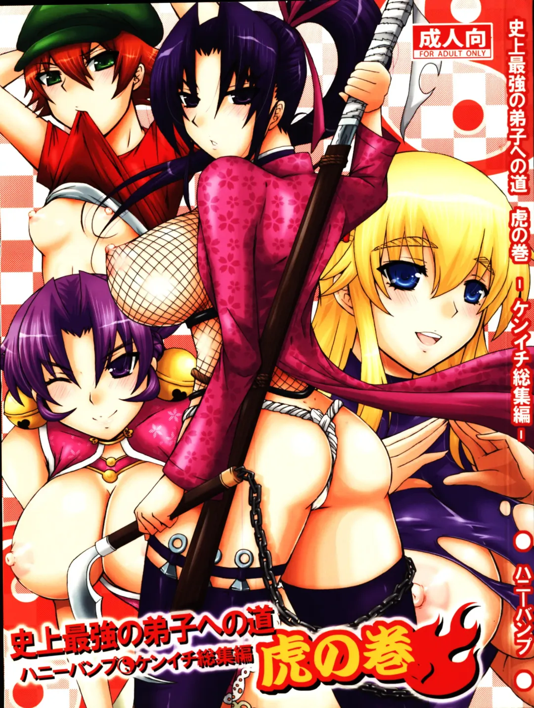 Read [Nakatsugawa Minoru] Shijousaikyou no Deshi e no Michi Toranomaki Honey Bump Kenichi Soushuuhen - Fhentai.net