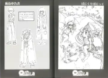 [Juubaori Mashumaro] 桃色申告書 ver.MILLENNIUM FALCON Fhentai - Page 32